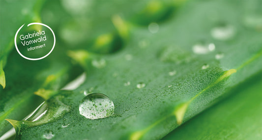 Die Signatur der Aloe Vera