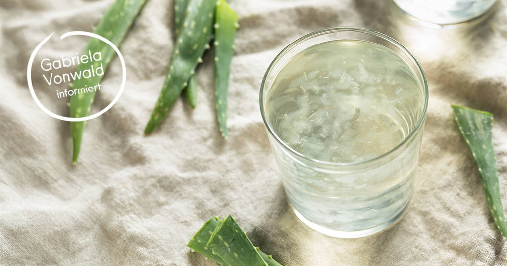 Trinken statt cremen? Die überraschende Wirkung von Aloe Vera von innen