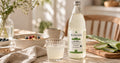 Warum Aloe Vera Saft so gut tut – und warum er für viele zur täglichen Routine gehört