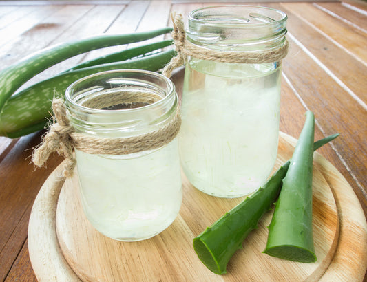 Das Superfood Aloe Vera