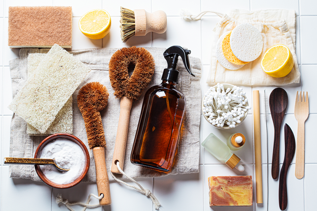 Aloe Vera – Der Frühjahrsputz für deinen Körper