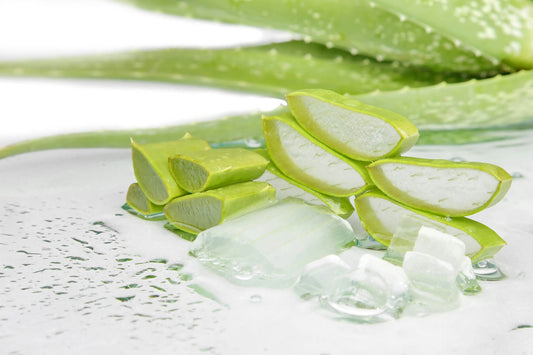 2 Aloe-Vera-Drinks täglich als Vital-Booster