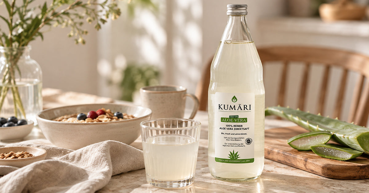 Warum Aloe Vera Saft so gut tut – und warum er für viele zur täglichen Routine gehört