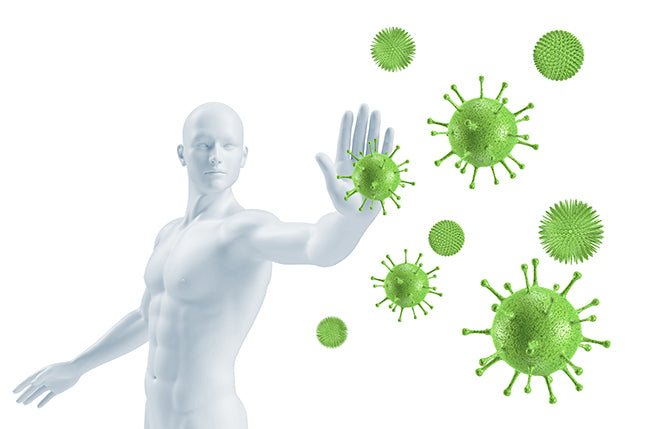 Deine Wunderwaffe gegen Viren: Das Immunsystem