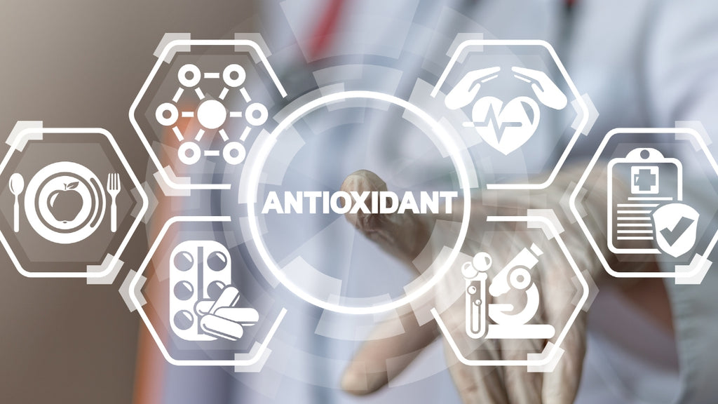 Antioxidantien - Bodyguards und Beauty-Booster zugleich