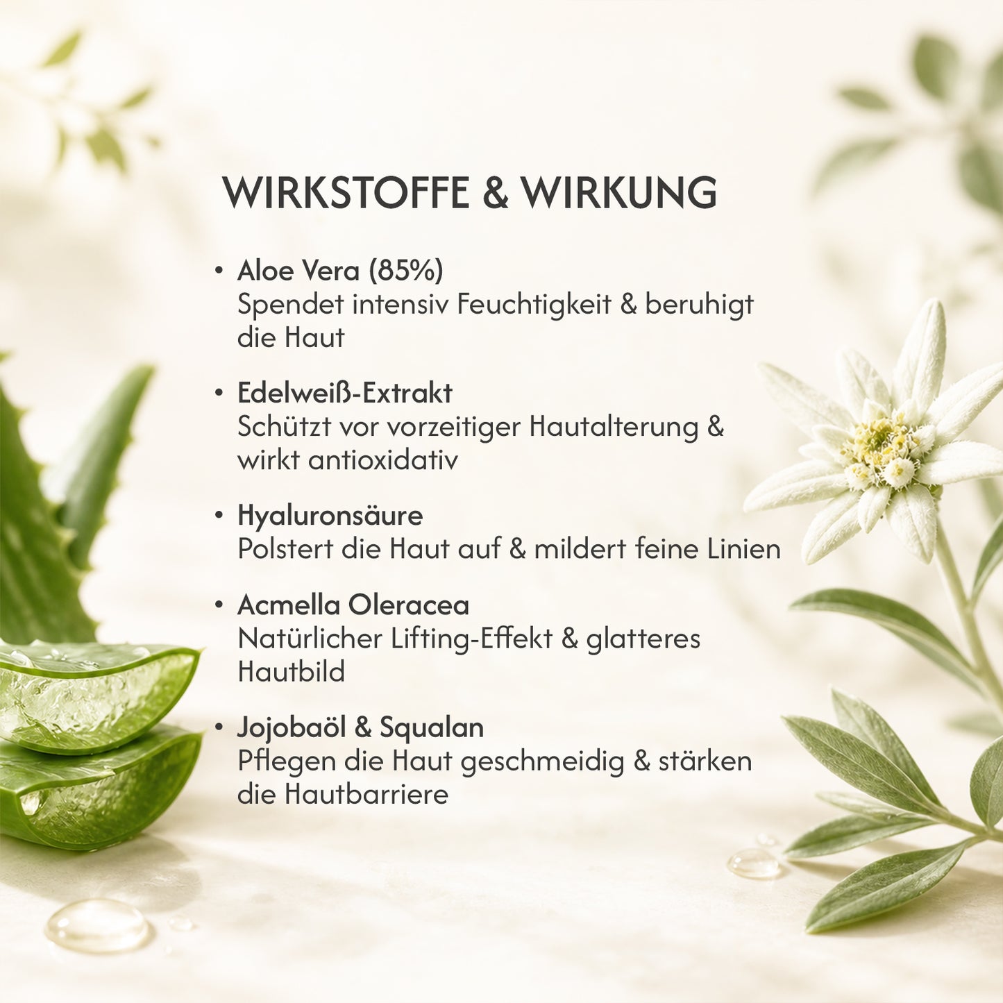 Anti Wrinkle Serum